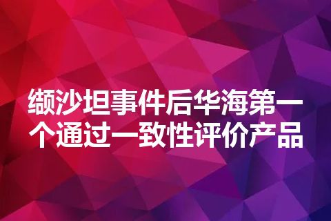 缬沙坦事件后华海第一个通过一致性评价产品