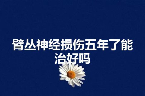 臂丛神经损伤五年了能治好吗