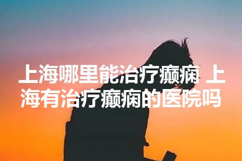 上海哪里能治疗癫痫 上海有治疗癫痫的医院吗