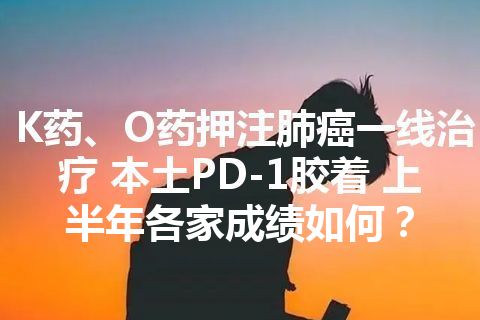 K药、O药押注肺癌一线治疗 本土PD-1胶着 上半年各家成绩如何？