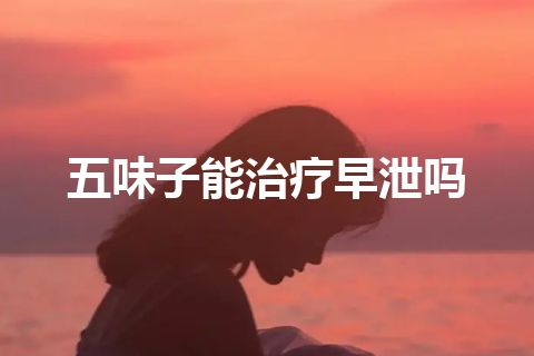 五味子能治疗早泄吗