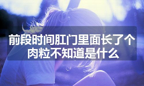 前段时间肛门里面长了个肉粒不知道是什么