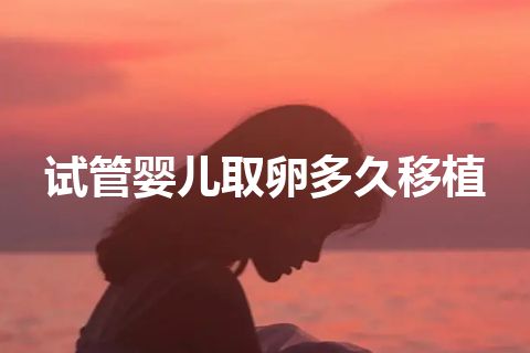 试管婴儿取卵多久移植