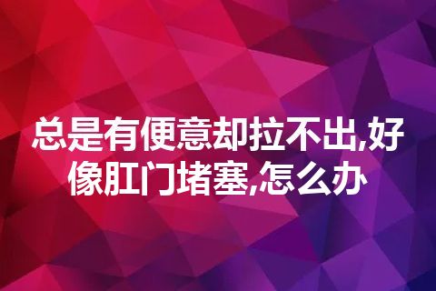 总是有便意却拉不出,好像肛门堵塞,怎么办