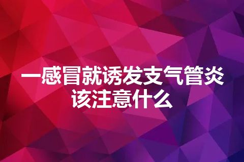 一感冒就诱发支气管炎该注意什么