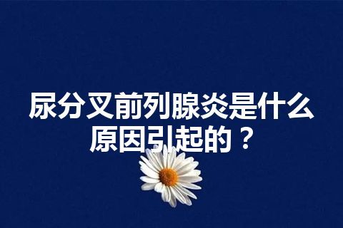 尿分叉前列腺炎是什么原因引起的？