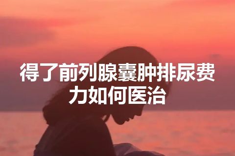 得了前列腺囊肿排尿费力如何医治