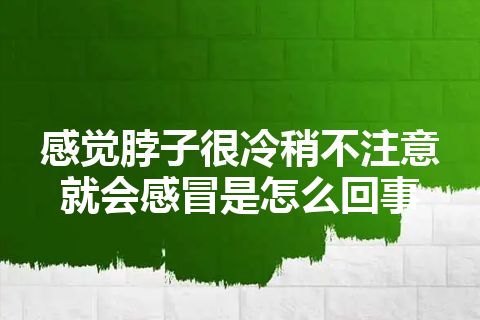 感觉脖子很冷稍不注意就会感冒是怎么回事