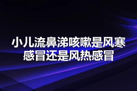 小儿流鼻涕咳嗽是风寒感冒还是风热感冒