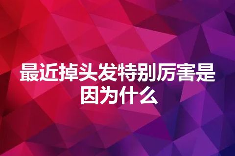 最近掉头发特别厉害是因为什么