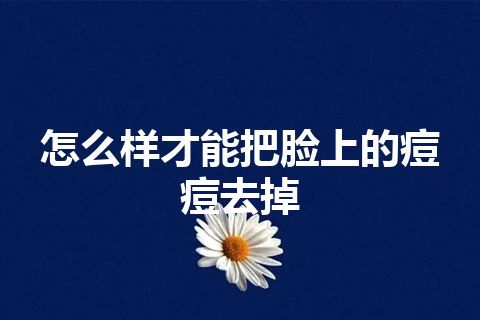 怎么样才能把脸上的痘痘去掉