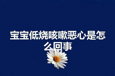 宝宝低烧咳嗽恶心是怎么回事