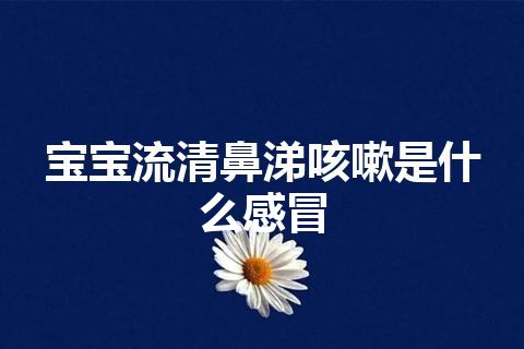 宝宝流清鼻涕咳嗽是什么感冒