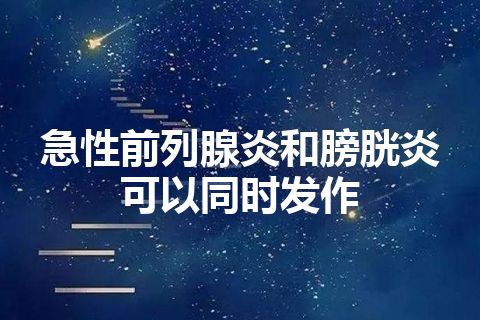 急性前列腺炎和膀胱炎可以同时发作