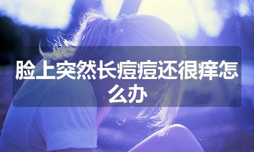 脸上突然长痘痘还很痒怎么办