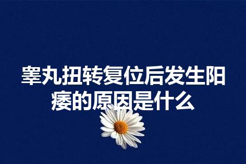 睾丸扭转复位后发生阳痿的原因是什么