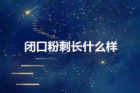 闭口粉刺长什么样