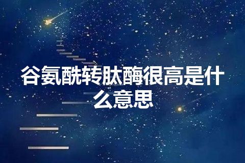 谷氨酰转肽酶很高是什么意思