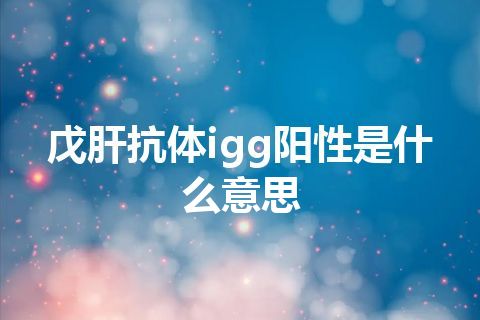 戊肝抗体igg阳性是什么意思