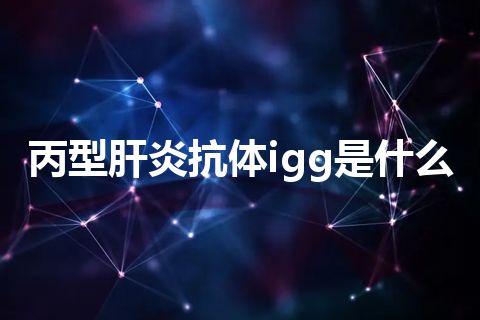 丙型肝炎抗体igg是什么