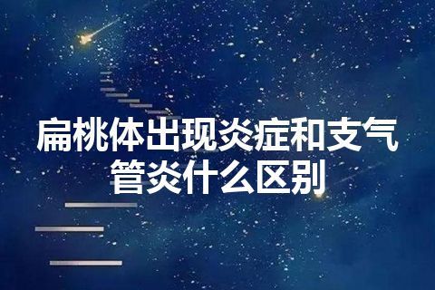 扁桃体出现炎症和支气管炎什么区别