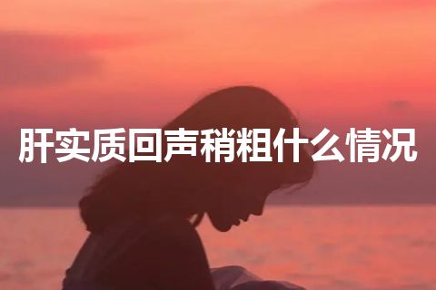 肝实质回声稍粗什么情况