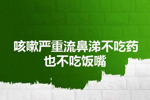 咳嗽严重流鼻涕不吃药也不吃饭嘴