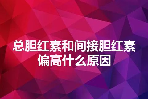 总胆红素和间接胆红素偏高什么原因