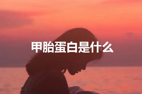 甲胎蛋白是什么