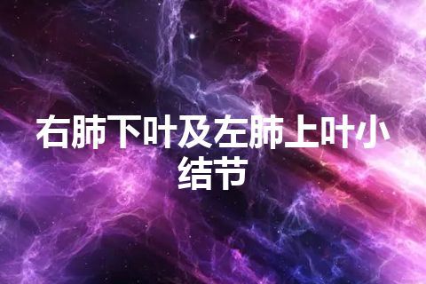 右肺下叶及左肺上叶小结节