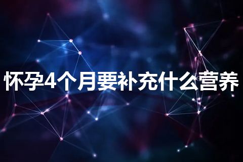 怀孕4个月要补充什么营养