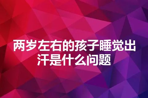 两岁左右的孩子睡觉出汗是什么问题