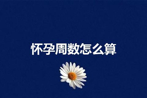 怀孕周数怎么算