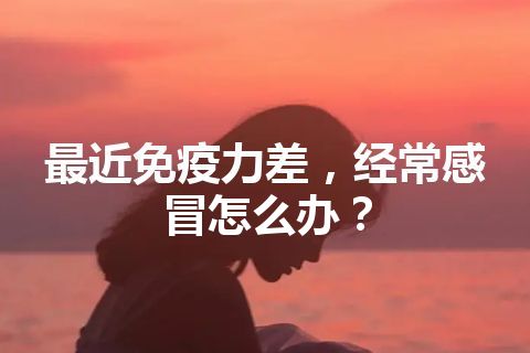 最近免疫力差，经常感冒怎么办？