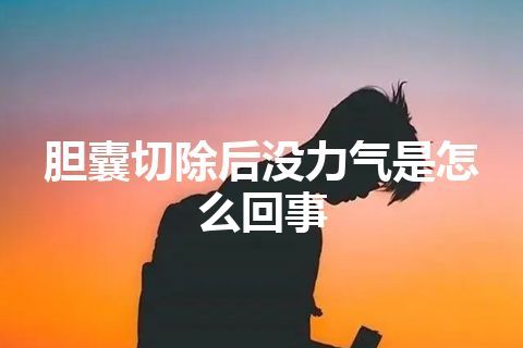 胆囊切除后没力气是怎么回事