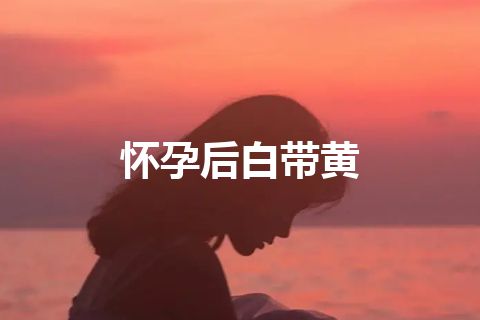 怀孕后白带黄