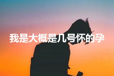 我是大概是几号怀的孕