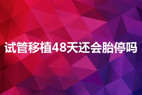 试管移植48天还会胎停吗