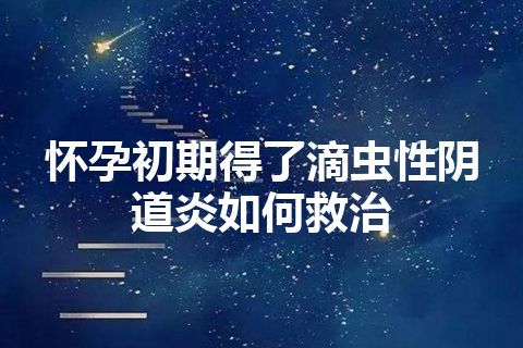 怀孕初期得了滴虫性阴道炎如何救治