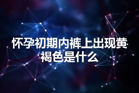 怀孕初期内裤上出现黄褐色是什么