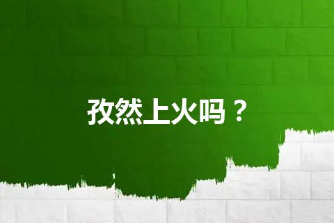 孜然上火吗？