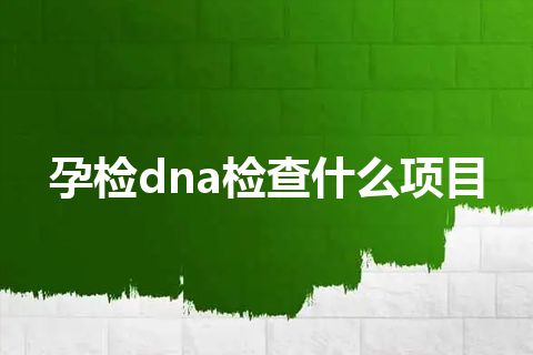 孕检dna检查什么项目