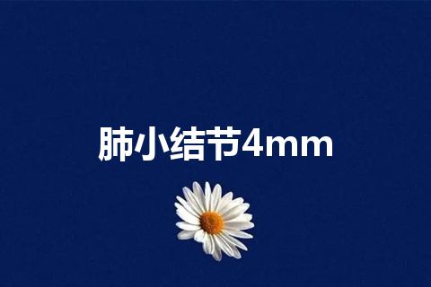 肺小结节4mm