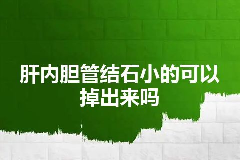 肝内胆管结石小的可以掉出来吗