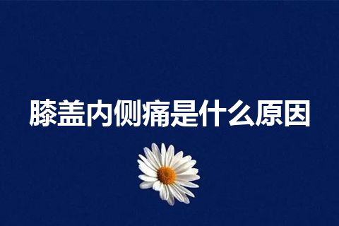 膝盖内侧痛是什么原因