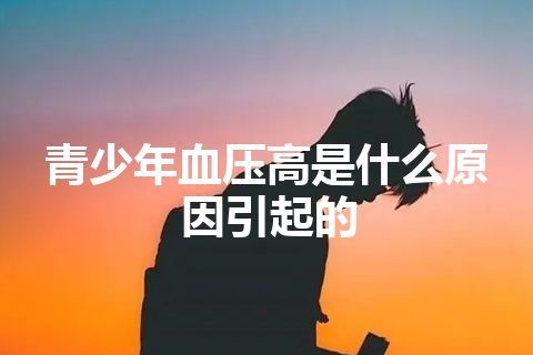 青少年血压高是什么原因引起的