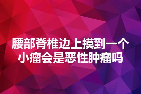 腰部脊椎边上摸到一个小瘤会是恶性肿瘤吗