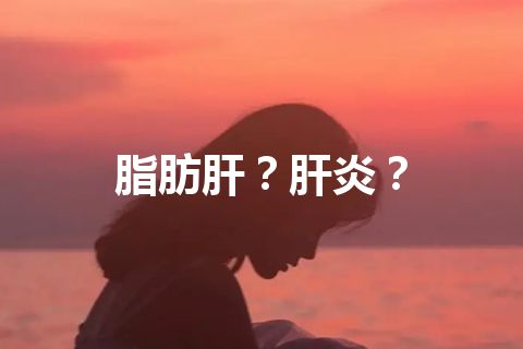 脂肪肝？肝炎？