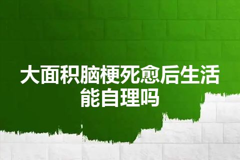 大面积脑梗死愈后生活能自理吗