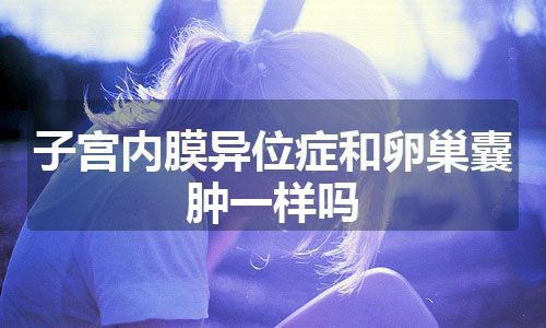 子宫内膜异位症和卵巢囊肿一样吗